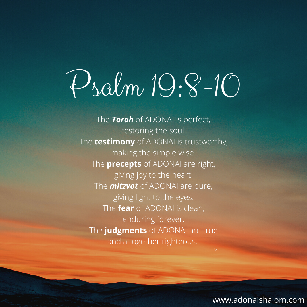 Psalm 19 8 10