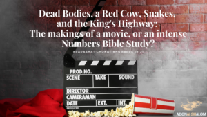 Numbers Red Cow Dead Bodies Snakes Nehushtan Kings Highway Numbers