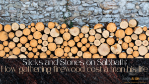 Sticks and Stones on Sabbath