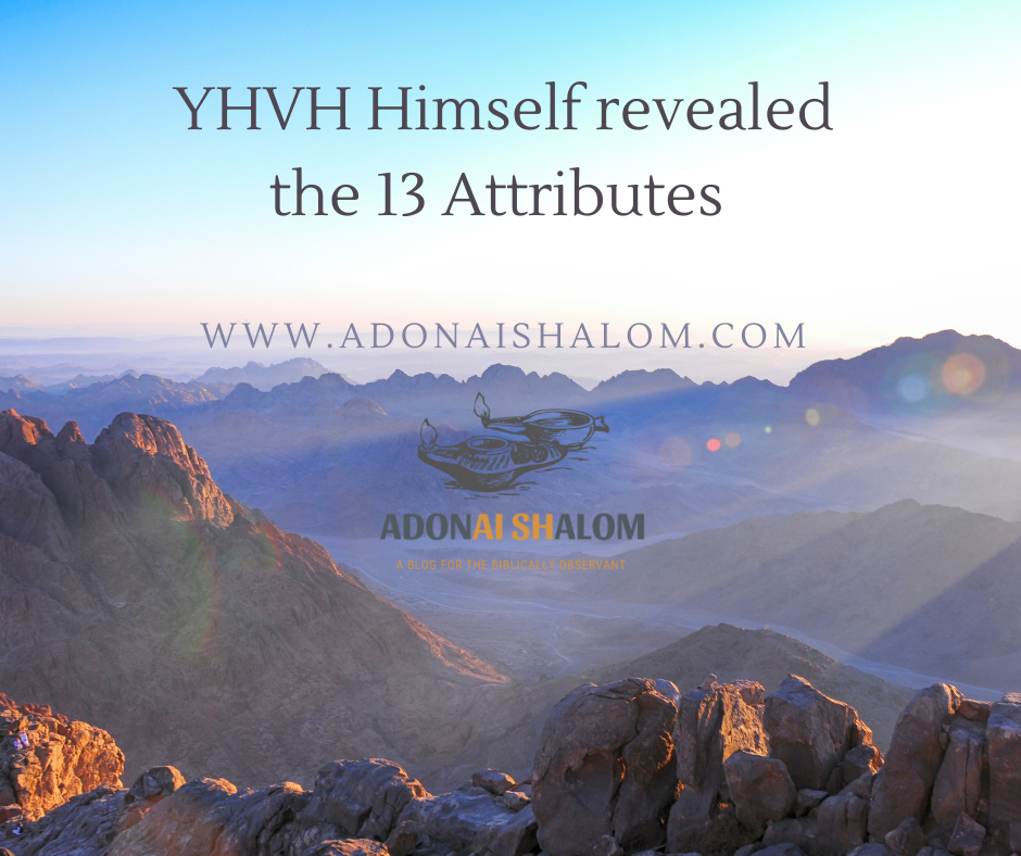 13 attributes revelation