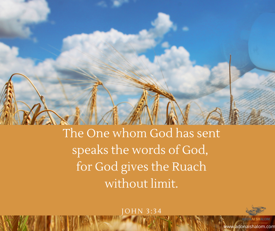 The One whom God has sent speaks the words of God for God gives the Ruach without limit