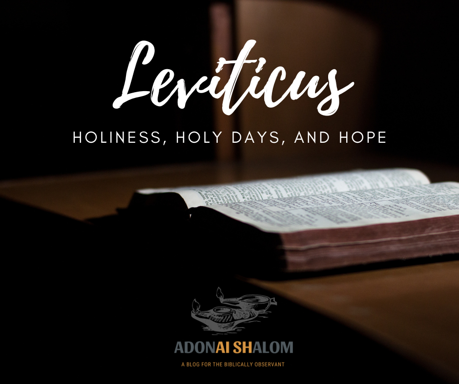 Leviticus holiness holy days hope 