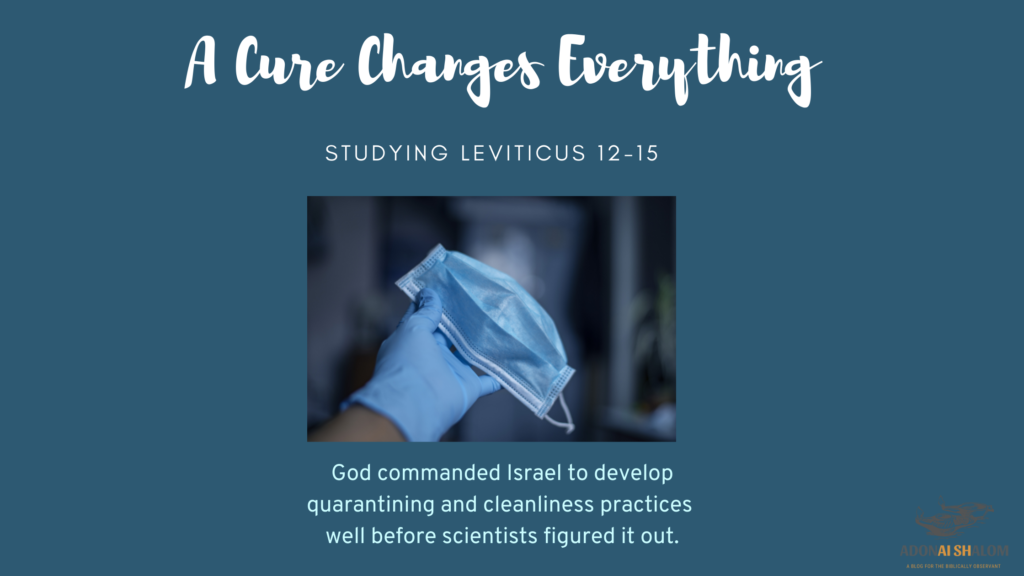 A cure changes everything Lev 12 15
