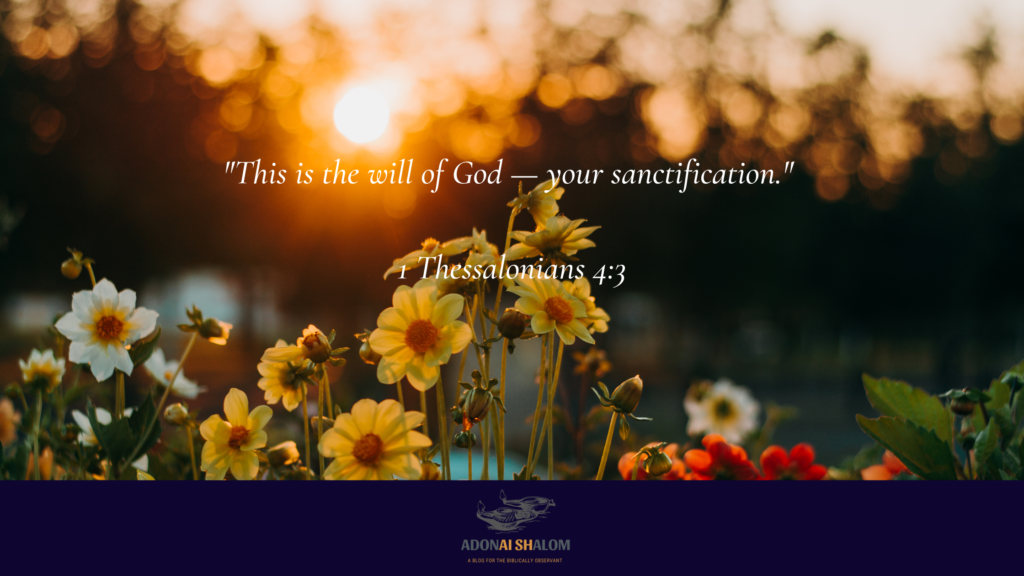 This is the will of God your sanctification 1 Thessalonians 4 3