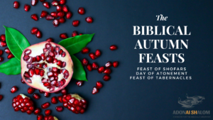 Biblical fall feasts 2