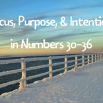 focus purpose intention