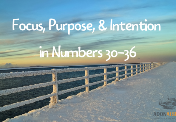 focus purpose intention