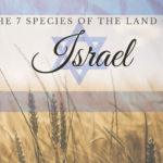 7 species of land of Israel