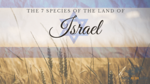 7 species of land of Israel