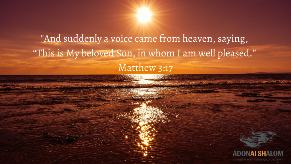 beloved Son Matthew 3 17