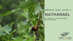 Abraham Isaac Jacob Nathanael
