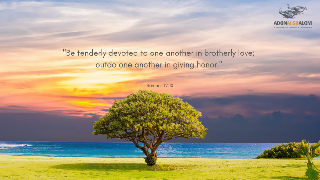 Be tenderly devoted to one another in brotherly love outdo one another in giving honor Romans