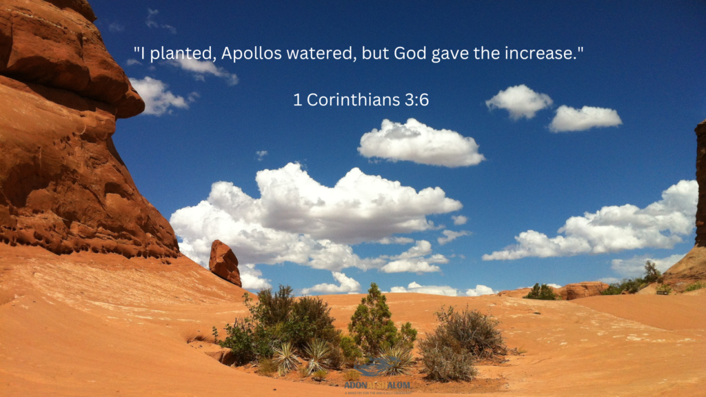 I planted Apollos watered but God gave the increase 1 Corinthians 3 6