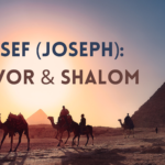 Yosef Favor Shalom Joseph