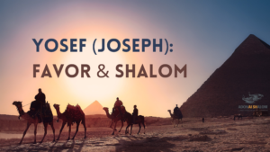 Yosef Favor Shalom Joseph