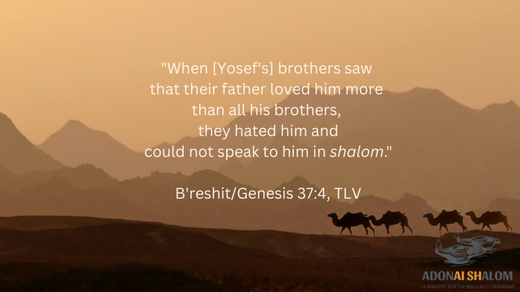 Yosef-Joseph-Shalom