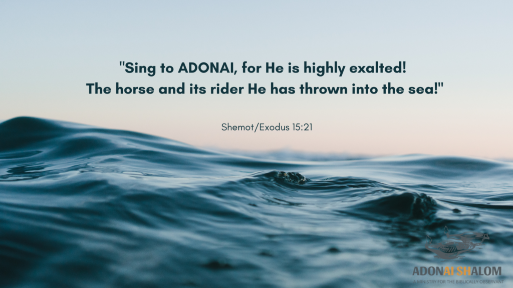Exodus Praise to Adonai