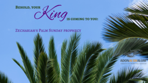 Palm Sunday King of kings