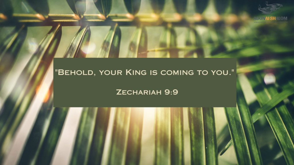 Zechariah 9 9