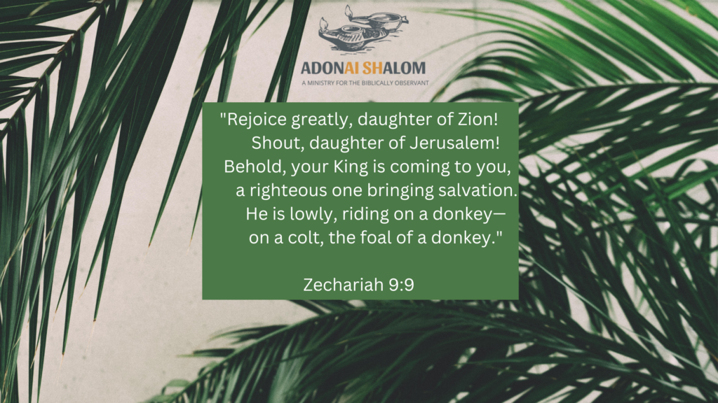 rejoice daughter of Zion Palm Sunday
