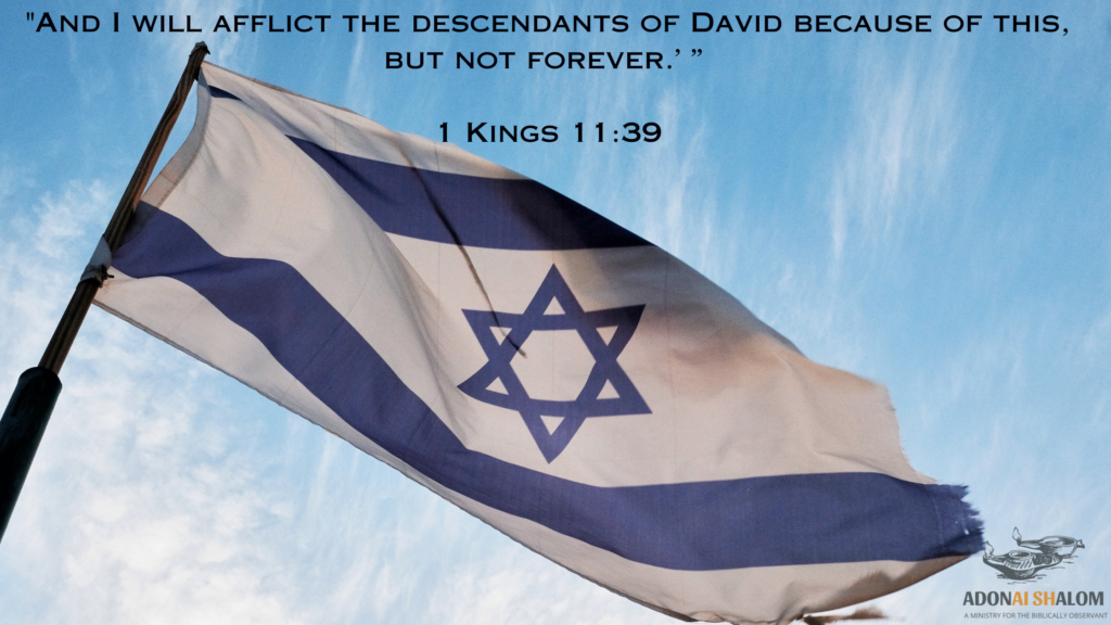 And I will afflict the descendants of David 2