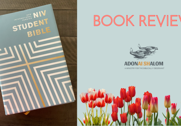 NIV Student Bible book review