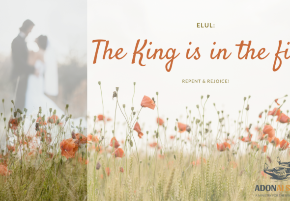 the King is in the field the month of Elul teshuvah Repent and Rejoice ADONAI SHALOM BLOG