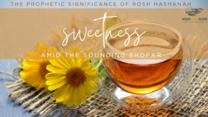 Sweetness amid sounding shofar Rosh HaShanah Yom Teruah