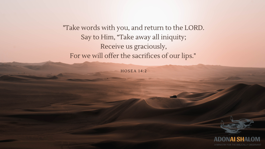 take words and return teshuvah