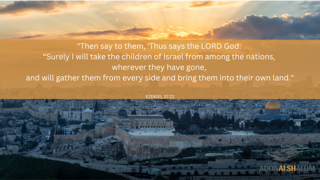 END TIMES PROPHECY ISRAEL
