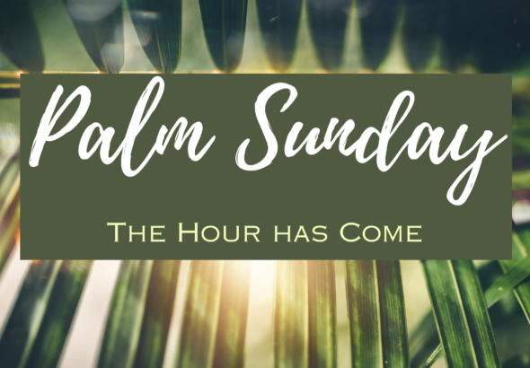 Palm Sunday Shabbat haGadol