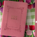 KJV Thomas Nelson pink leather soft center column reference Bible