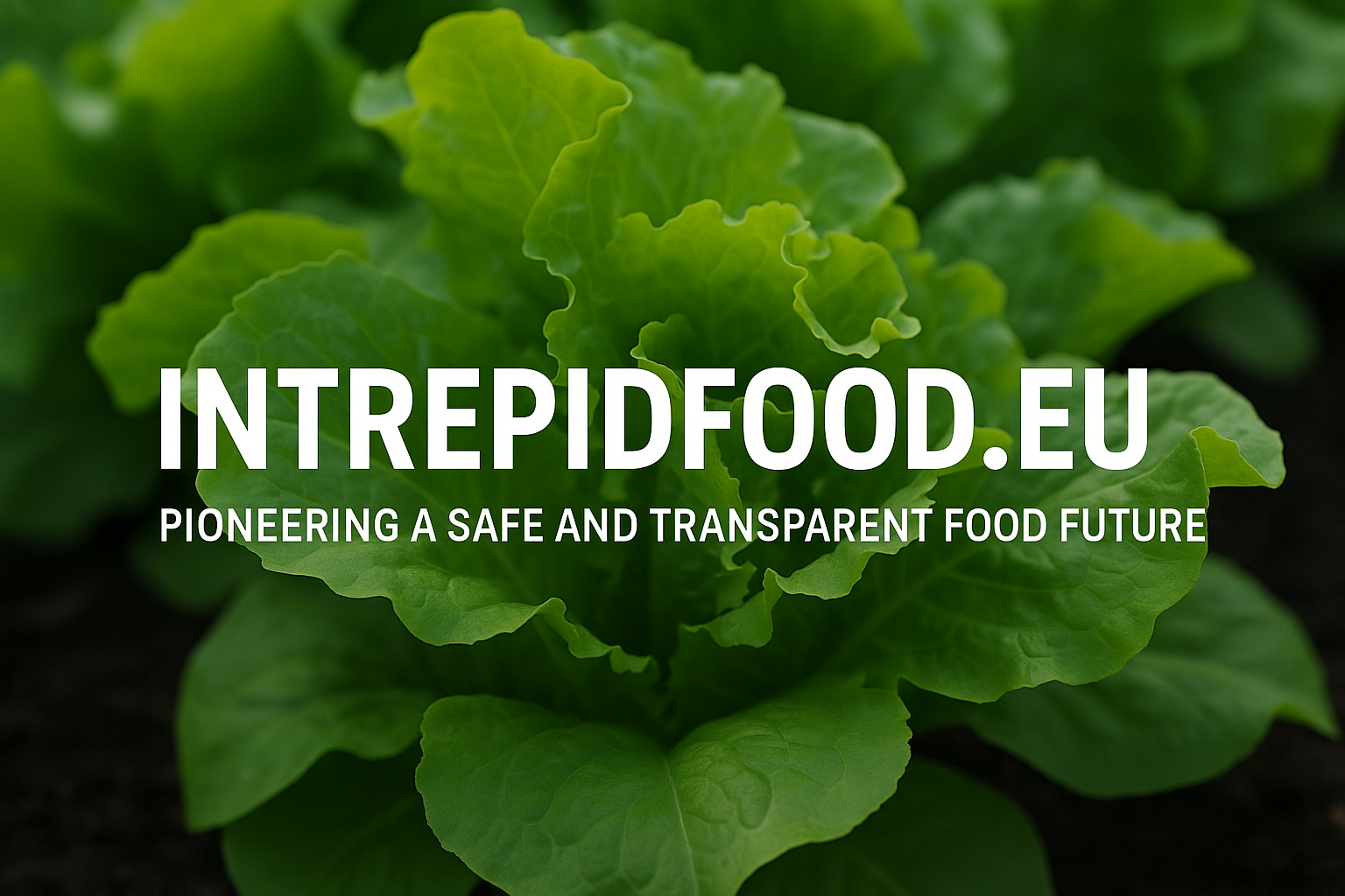 intrepidfood.eu